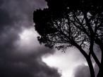 Dark-tree-clouds