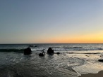 IMG_0515