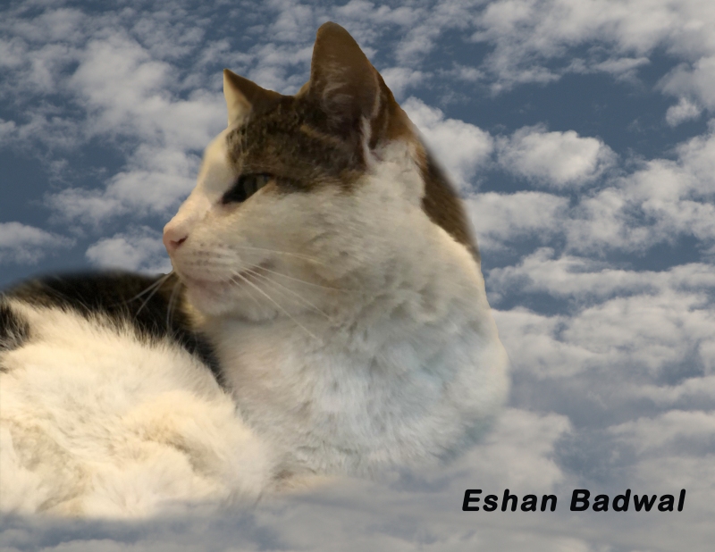 Eshan-Badwal-Clouds-Montage-2