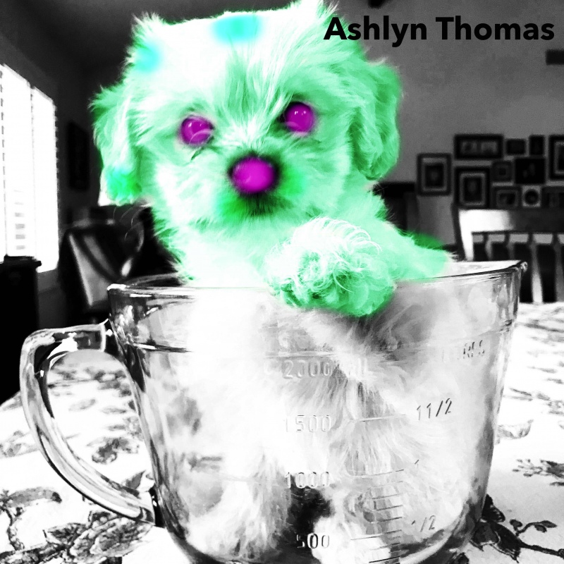 Ashlyn-Thomas-2-