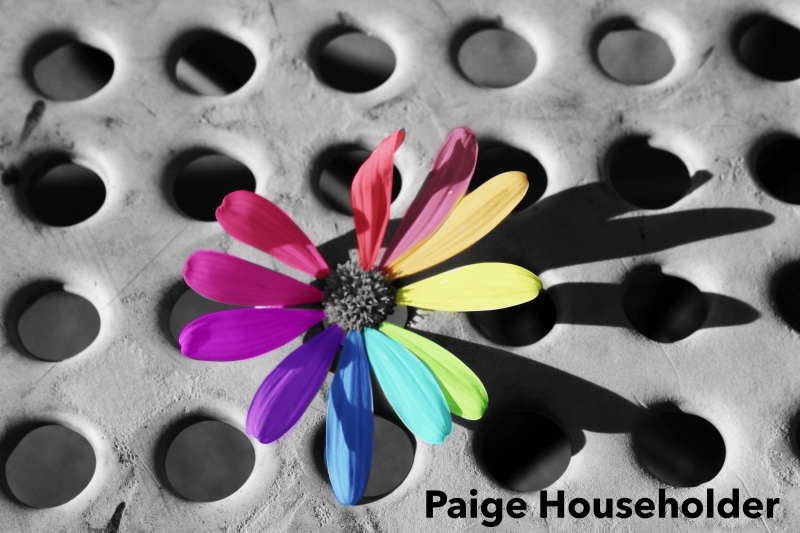 Paige-Householder-2