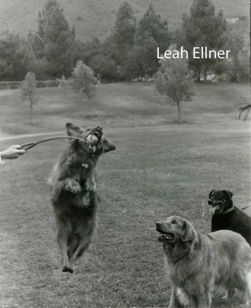 Leah Ellner copy