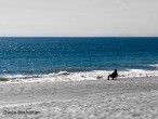 art-show-man-on-beach