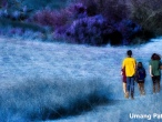 Umang-Patel-1