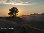 George Graziano Landscape