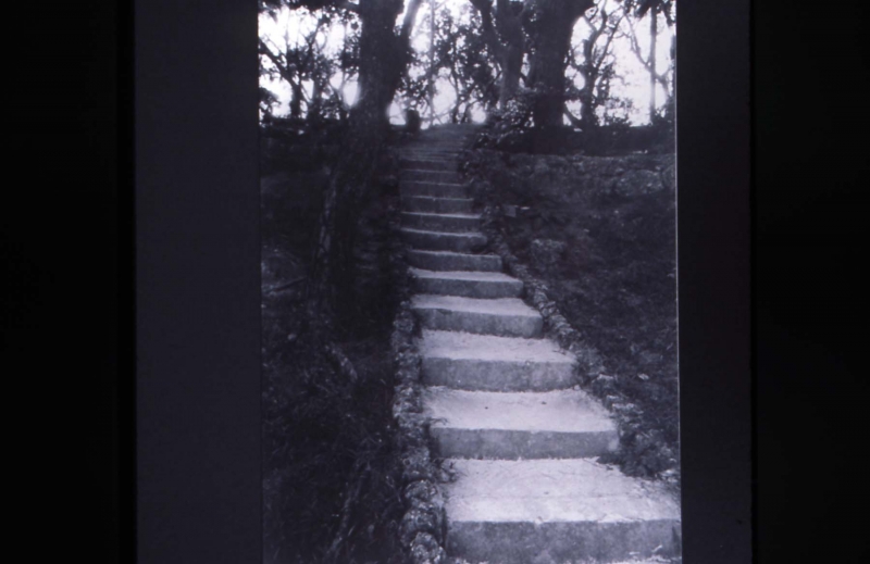 stair path