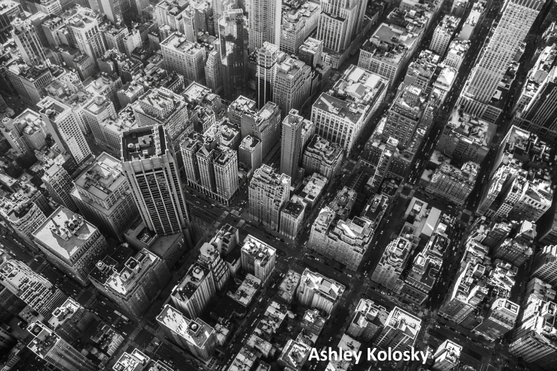 Ashley Kolosky NYC