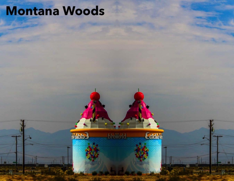 Montana-Woods-3