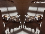 Cole-Kessler-4-