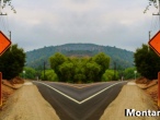 Montana-Woods-4