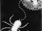 Photogram-U