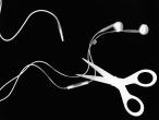 Photogram_Y