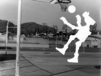 photogram12