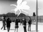 photogram9