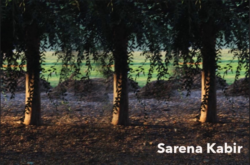 Sarena-Kabir-2
