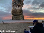 Emily-Kulhanek-3