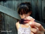 devault