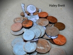 Haley Brett Still Life