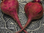 Johnny Agulia Still Life