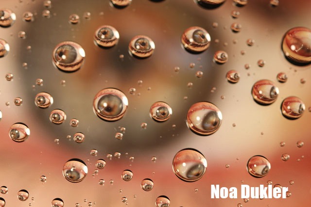 Noa-Dukler-Distortion