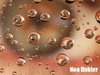 Noa-Dukler-Distortion