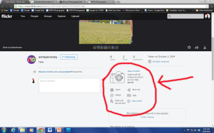 flickr settings display
