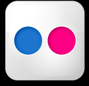 flickr logo